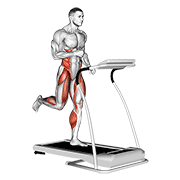 ภาพเคลื่อนไหวสาธิตท่า Run (equipment) เน้นกล้ามเนื้อระบบหัวใจและหลอดเลือด