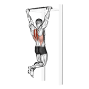 ภาพเคลื่อนไหวสาธิตท่า Scapular Pull-up เน้นกล้ามเนื้อกล้ามเนื้อบ่า (แทรปส์)