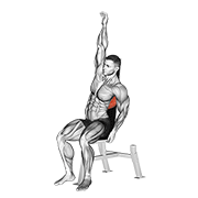 ภาพเคลื่อนไหวสาธิตท่า Seated Lower Back Stretch เน้นกล้ามเนื้อปีกหลัง (แลตส์)