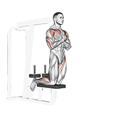 ภาพเคลื่อนไหวสาธิตท่า Self Assisted Inverse Leg Curl เน้นกล้ามเนื้อต้นขาด้านหลัง (แฮมสตริง)