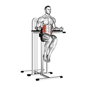 ภาพเคลื่อนไหวสาธิตท่า Side Hip (on Parallel Bars) เน้นกล้ามเนื้อหน้าท้อง