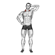 ภาพเคลื่อนไหวสาธิตท่า Side Push Neck Stretch เน้นกล้ามเนื้อกล้ามเนื้อยกสะบัก