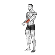 ภาพเคลื่อนไหวสาธิตท่า Side Wrist Pull Stretch เน้นกล้ามเนื้อแขนท่อนล่าง