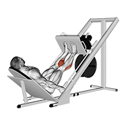 ภาพเคลื่อนไหวสาธิตท่า Sled 45в° Calf Press เน้นกล้ามเนื้อน่อง