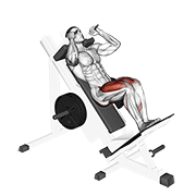 ภาพเคลื่อนไหวสาธิตท่า Sled Closer Hack Squat เน้นกล้ามเนื้อกล้ามเนื้อก้น
