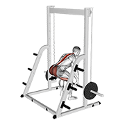 ภาพเคลื่อนไหวสาธิตท่า Smith Deadlift เน้นกล้ามเนื้อกล้ามเนื้อก้น
