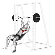 ภาพเคลื่อนไหวสาธิตท่า Smith Incline Shoulder Raises เน้นกล้ามเนื้อกล้ามเนื้อข้างชายโครง