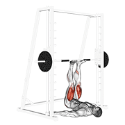 ภาพเคลื่อนไหวสาธิตท่า Smith Leg Press เน้นกล้ามเนื้อกล้ามเนื้อก้น