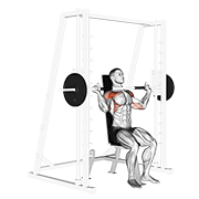 ภาพเคลื่อนไหวสาธิตท่า Smith Shoulder Press เน้นกล้ามเนื้อไหล่ (เดลทอยด์)