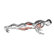 ภาพเคลื่อนไหวสาธิตท่า Spider Crawl Push Up เน้นกล้ามเนื้อกล้ามเนื้อก้น