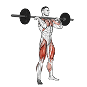 ภาพเคลื่อนไหวสาธิตท่า Squat Jerk เน้นกล้ามเนื้อต้นขาด้านหน้า (ควอดส์)