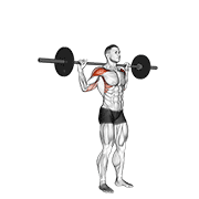 ภาพเคลื่อนไหวสาธิตท่า Standing Behind Neck Press เน้นกล้ามเนื้อไหล่ (เดลทอยด์)