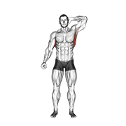 ภาพเคลื่อนไหวสาธิตท่า Standing Lateral Stretch เน้นกล้ามเนื้อปีกหลัง (แลตส์)
