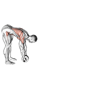 ภาพเคลื่อนไหวสาธิตท่า Standing Wheel Rollerout เน้นกล้ามเนื้อหน้าท้อง