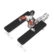 ภาพเคลื่อนไหวสาธิตท่า Triceps Dip (between Benches) เน้นกล้ามเนื้อกล้ามเนื้อหลังแขน (ไทรเซปส์)