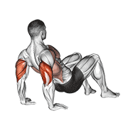 ภาพเคลื่อนไหวสาธิตท่า Triceps Dips Floor เน้นกล้ามเนื้อกล้ามเนื้อหลังแขน (ไทรเซปส์)