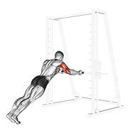 ภาพเคลื่อนไหวสาธิตท่า Triceps Press เน้นกล้ามเนื้อกล้ามเนื้อหลังแขน (ไทรเซปส์)