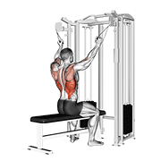 ภาพเคลื่อนไหวสาธิตท่า Twin Handle Parallel Grip Lat Pulldown เน้นกล้ามเนื้อปีกหลัง (แลตส์)