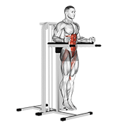 ภาพเคลื่อนไหวสาธิตท่า Vertical Leg Raise (on Parallel Bars) เน้นกล้ามเนื้อหน้าท้อง