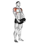 ภาพเคลื่อนไหวสาธิตท่า Weighted Front Raise เน้นกล้ามเนื้อไหล่ (เดลทอยด์)