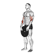 ภาพเคลื่อนไหวสาธิตท่า Weighted Standing Curl เน้นกล้ามเนื้อกล้ามเนื้อหน้าแขน (ไบเซปส์)