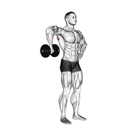 ภาพเคลื่อนไหวสาธิตท่า Dumbbell Upright Shoulder External Rotation เน้นกล้ามเนื้อไหล่ (เดลทอยด์)