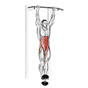 ภาพเคลื่อนไหวสาธิตท่า Weighted Hanging Leg-hip Raise เน้นกล้ามเนื้อหน้าท้อง