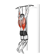 ภาพเคลื่อนไหวสาธิตท่า Band Assisted Pull-up เน้นกล้ามเนื้อปีกหลัง (แลตส์)