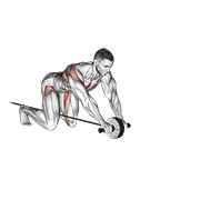 ภาพเคลื่อนไหวสาธิตท่า Band Assisted Wheel Rollerout เน้นกล้ามเนื้อหน้าท้อง
