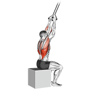 ภาพเคลื่อนไหวสาธิตท่า Band Close-grip Pulldown เน้นกล้ามเนื้อปีกหลัง (แลตส์)