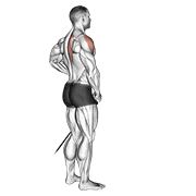 ภาพเคลื่อนไหวสาธิตท่า Band Front Lateral Raise เน้นกล้ามเนื้อไหล่ (เดลทอยด์)