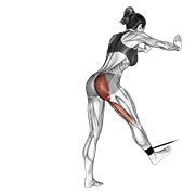 ภาพเคลื่อนไหวสาธิตท่า Band Bent-over Hip Extension เน้นกล้ามเนื้อกล้ามเนื้อก้น
