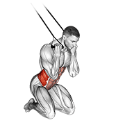 ภาพเคลื่อนไหวสาธิตท่า Band Kneeling Twisting Crunch เน้นกล้ามเนื้อหน้าท้อง
