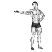 ภาพเคลื่อนไหวสาธิตท่า Band One Arm Overhead Biceps Curl เน้นกล้ามเนื้อกล้ามเนื้อหน้าแขน (ไบเซปส์)