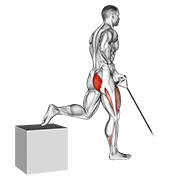 ภาพเคลื่อนไหวสาธิตท่า Band One Arm Single Leg Split Squat เน้นกล้ามเนื้อต้นขาด้านหน้า (ควอดส์)