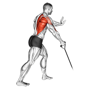 ภาพเคลื่อนไหวสาธิตท่า Band One Arm Standing Low Row เน้นกล้ามเนื้อหลังส่วนบน