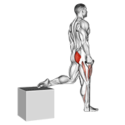ภาพเคลื่อนไหวสาธิตท่า Band Single Leg Split Squat เน้นกล้ามเนื้อต้นขาด้านหน้า (ควอดส์)