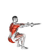 ภาพเคลื่อนไหวสาธิตท่า Band Squat Row เน้นกล้ามเนื้อกล้ามเนื้อก้น