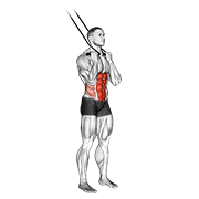 ภาพเคลื่อนไหวสาธิตท่า Band Standing Crunch เน้นกล้ามเนื้อหน้าท้อง