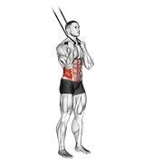 ภาพเคลื่อนไหวสาธิตท่า Band Standing Twisting Crunch เน้นกล้ามเนื้อหน้าท้อง