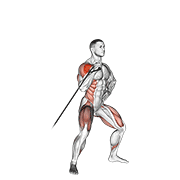 ภาพเคลื่อนไหวสาธิตท่า Band Twisting Overhead Press เน้นกล้ามเนื้อไหล่ (เดลทอยด์)