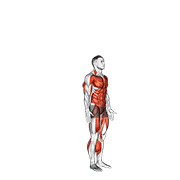 ภาพเคลื่อนไหวสาธิตท่า Burpee เน้นกล้ามเนื้อระบบหัวใจและหลอดเลือด