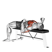 ภาพเคลื่อนไหวสาธิตท่า Band Bench Press เน้นกล้ามเนื้อกล้ามเนื้อหน้าอก