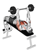 ภาพเคลื่อนไหวสาธิตท่า Barbell Decline Pullover เน้นกล้ามเนื้อกล้ามเนื้อหน้าอก