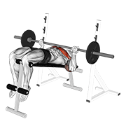 ภาพเคลื่อนไหวสาธิตท่า Barbell Reverse Grip Decline Bench Press เน้นกล้ามเนื้อกล้ามเนื้อหน้าอก