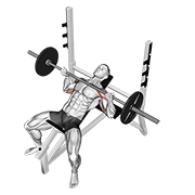 ภาพเคลื่อนไหวสาธิตท่า Barbell Reverse Grip Incline Bench Press เน้นกล้ามเนื้อกล้ามเนื้อหน้าอก