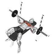ภาพเคลื่อนไหวสาธิตท่า Barbell Wide Reverse Grip Bench Press เน้นกล้ามเนื้อกล้ามเนื้อหน้าอก