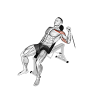 ภาพเคลื่อนไหวสาธิตท่า Cable One Arm Incline Press เน้นกล้ามเนื้อกล้ามเนื้อหน้าอก