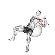 ภาพเคลื่อนไหวสาธิตท่า Cable One Arm Incline Press On Exercise Ball เน้นกล้ามเนื้อกล้ามเนื้อหน้าอก