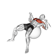 ภาพเคลื่อนไหวสาธิตท่า Cable Press On Exercise Ball เน้นกล้ามเนื้อกล้ามเนื้อหน้าอก